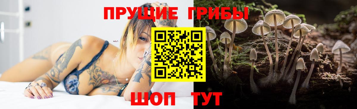 Новокубанск  Псилоцибиновые грибы мицелий  Вход с VPN 